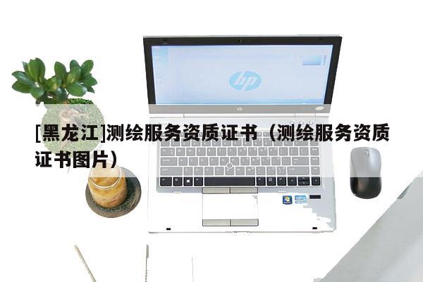 [黑龍江]測繪服務(wù)資質(zhì)證書（測繪服務(wù)資質(zhì)證書圖片）