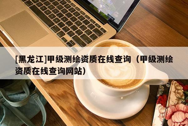 [黑龍江]甲級測繪資質(zhì)在線查詢（甲級測繪資質(zhì)在線查詢網(wǎng)站）