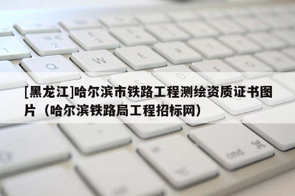 [黑龍江]哈爾濱市鐵路工程測繪資質(zhì)證書圖片（哈爾濱鐵路局工程招標(biāo)網(wǎng)）